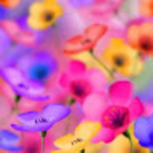 Meet your Posher, Tonya